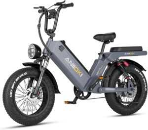 ANIIOKI Electric Bike