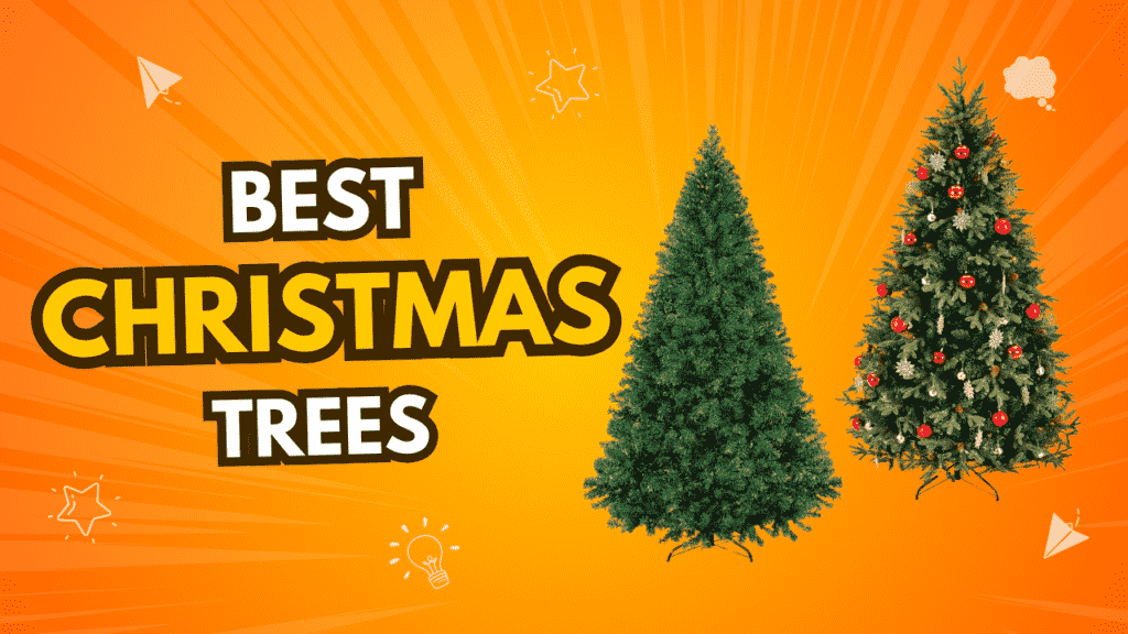 Best Christmas Trees