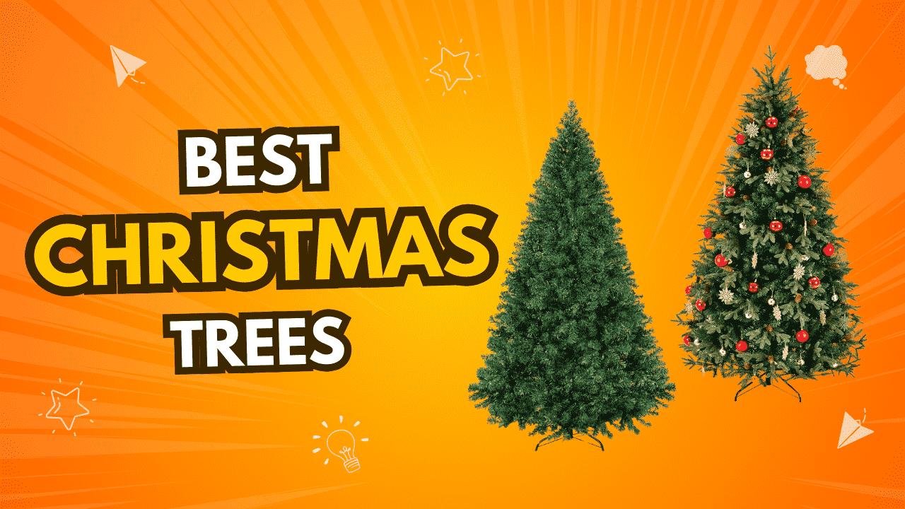 Best Christmas Trees