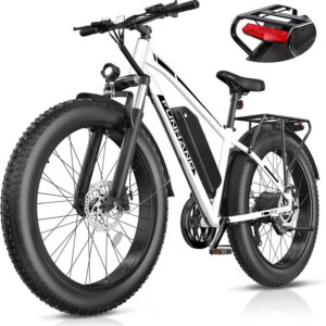 Funhang EB-S1 Electric Bike