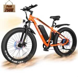 VARUN Peak 750W Electric Bike