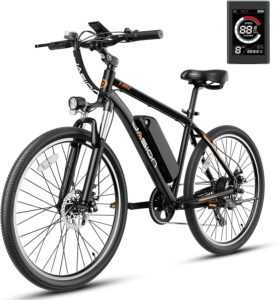 Jasion EB5 Electric Bike