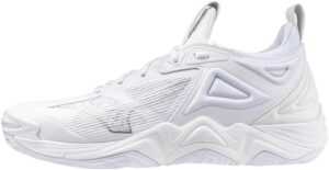Mizuno Wave Momentum 3