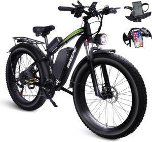 Qweepei Peak 1500W Electric Bike
