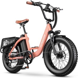 EUY 1500W Peak Electric Bike