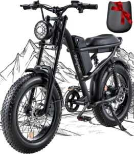 Riding'times 1500W Electric Bike