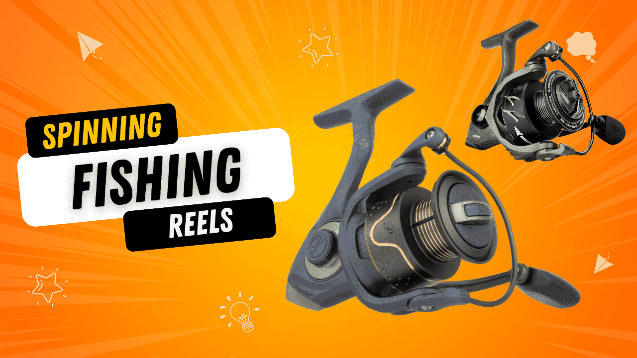 Best Spinning Fishing Reels