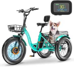 Mosener 20-Inch Fat Tire Electric Trike