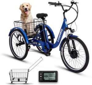 RegalRider Electric Tricycle