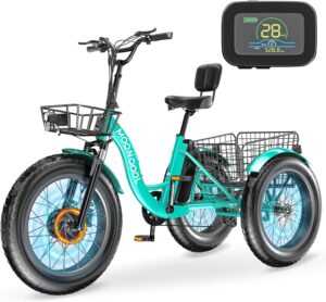 MOONCOOL Electric Tricycle 48V 500W