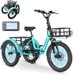 MOONCOOL Electric Tricycle 350W 36V