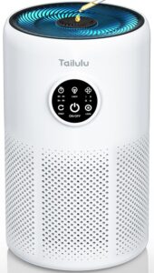 Tailulu D10 Air Purifier