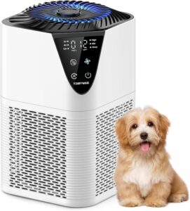 Tdbywae Air Purifier